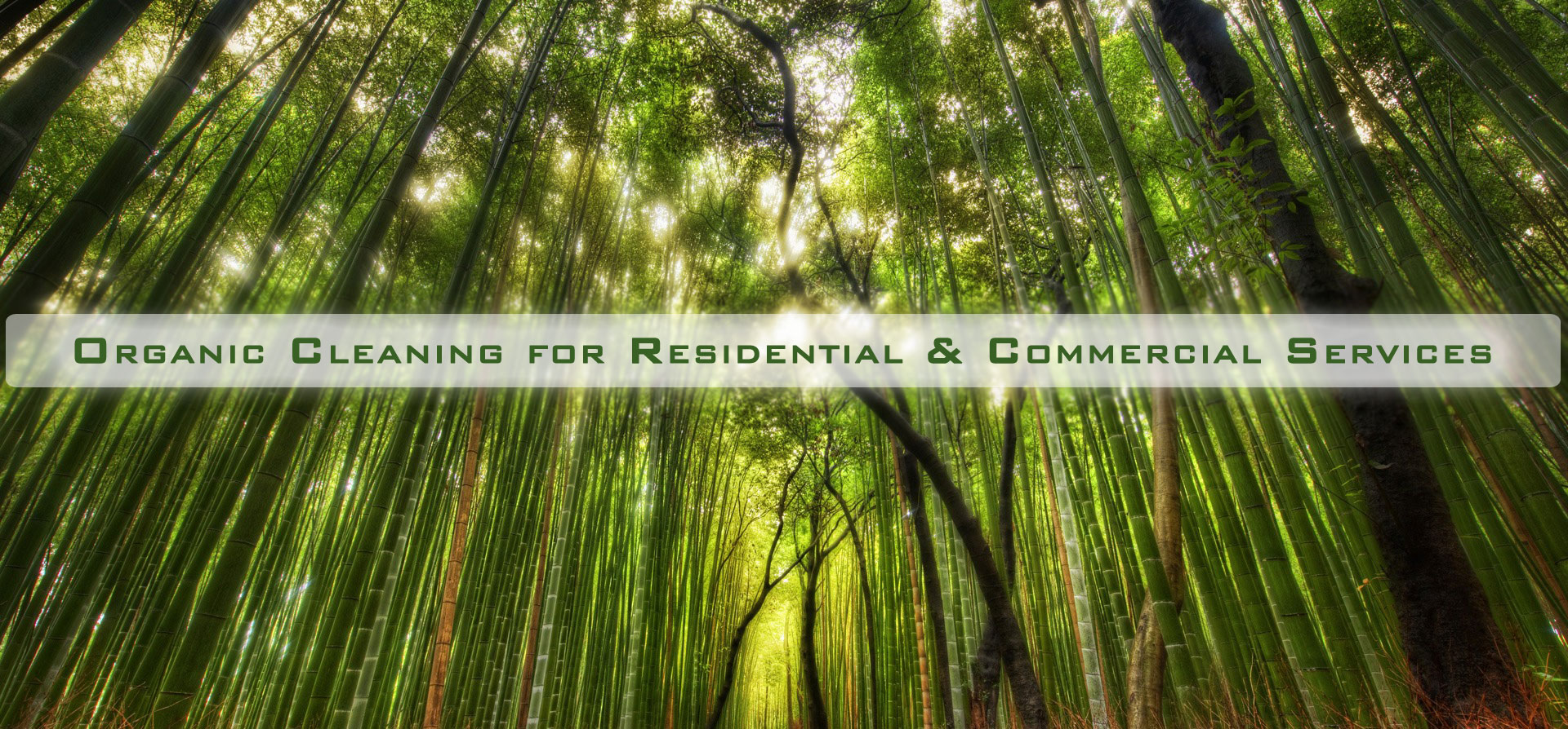 Organic Rug, Carpet & Upholstery Cleaning